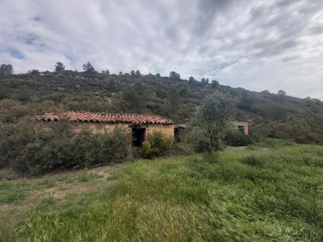 Casa en venta en Bajo Cinca / Baix Cinca, Aragón