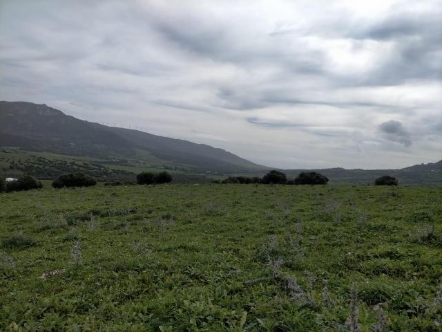 Casa en venta en Sierra de Cádiz, Andalucía