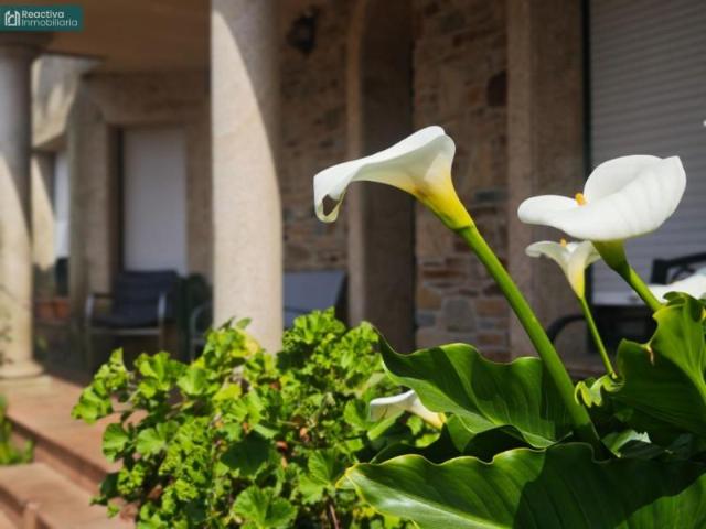 Casa en venta en Cacheiras, Santiago