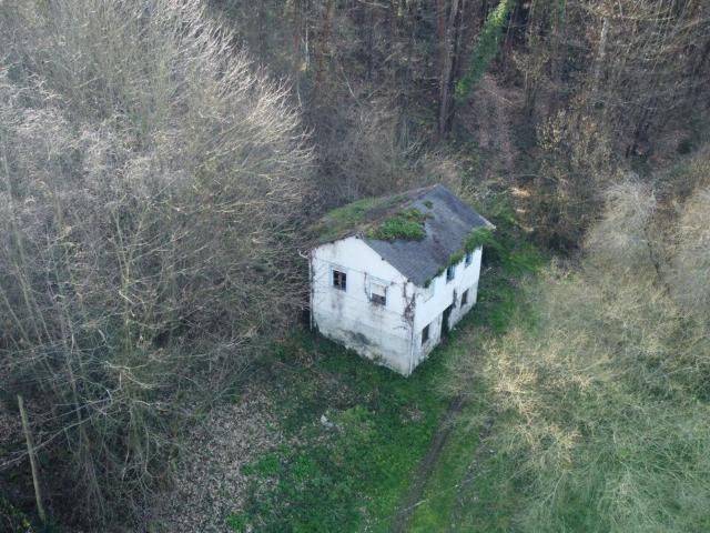 Chalet en venta en Tinéu, Tineo