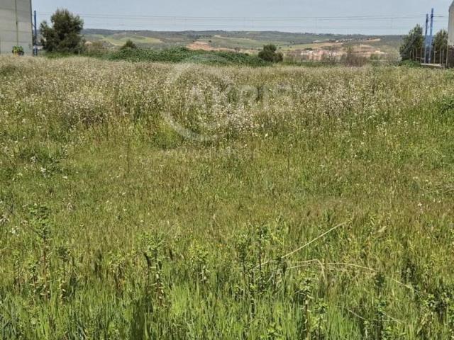 Casa en venta en Santa María de Benquerencia, Toledo