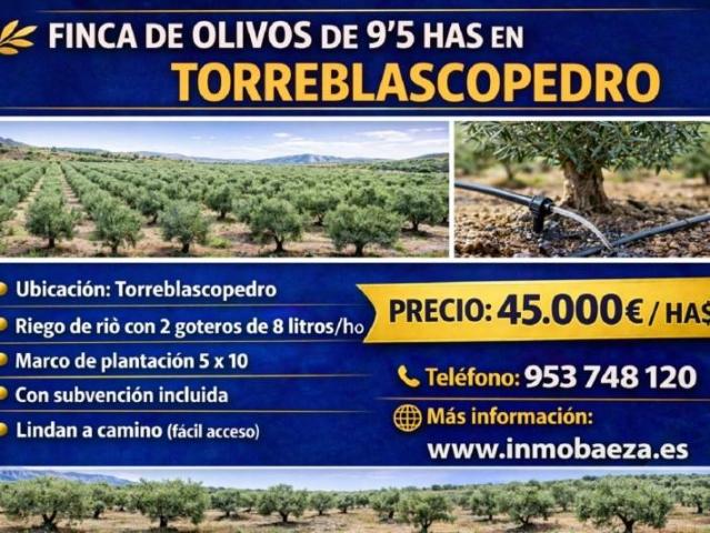 Casa en venta en Torreblascopedro, Andalucía