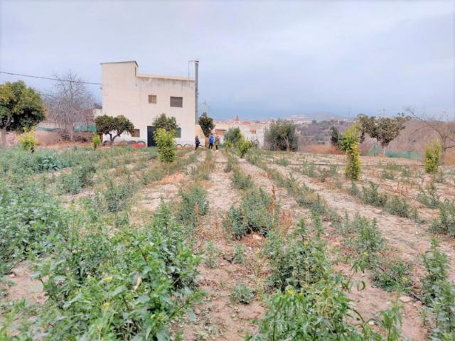 Casa en venta en Comarca de la Alpujarra Granadina, Andalucía