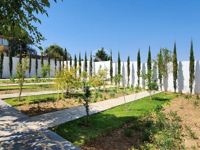 CASA EN VENTA Y RENTA EN VALLE DE BRAVO, PIPIOLTEPEC