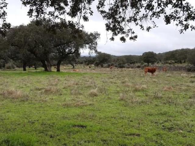 Casa en venta en Zafra - Río Bodión, Extremadura