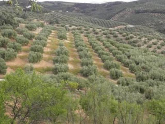 Casa en venta en Comarca de Loja, Andalucía