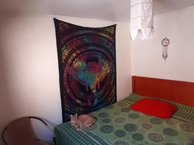 Casa en Vicuña