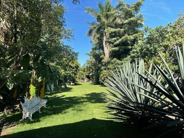 Casa en renta en Morelos