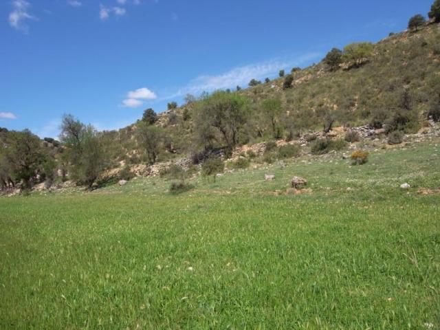 Casa en venta en Escariche, Castilla-La Mancha