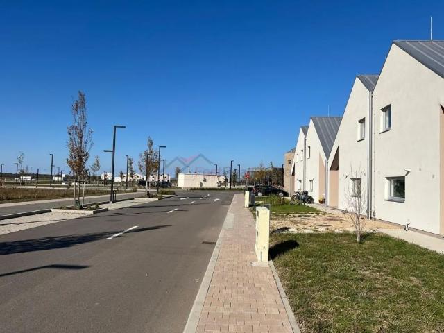 Casă închirieri în Colțea, București