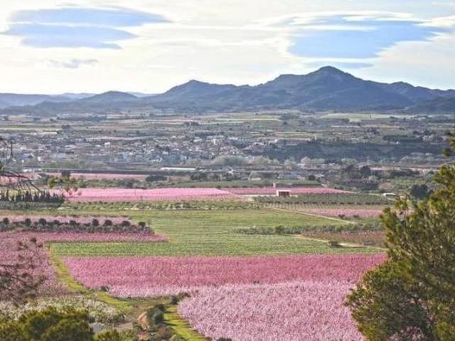 Casa en alquiler en Benissanet, Tarragona