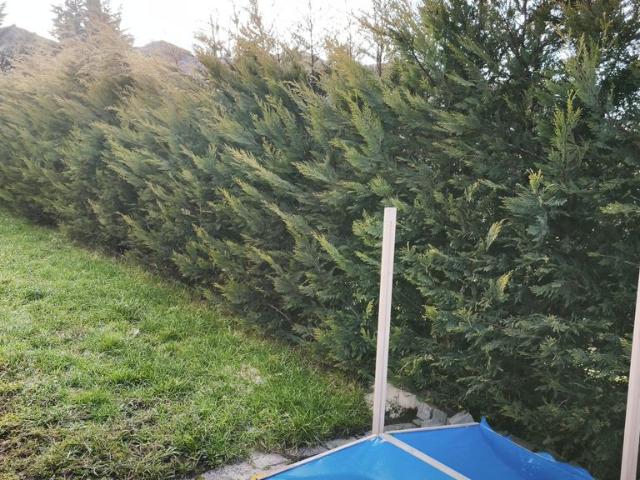 Casă închirieri