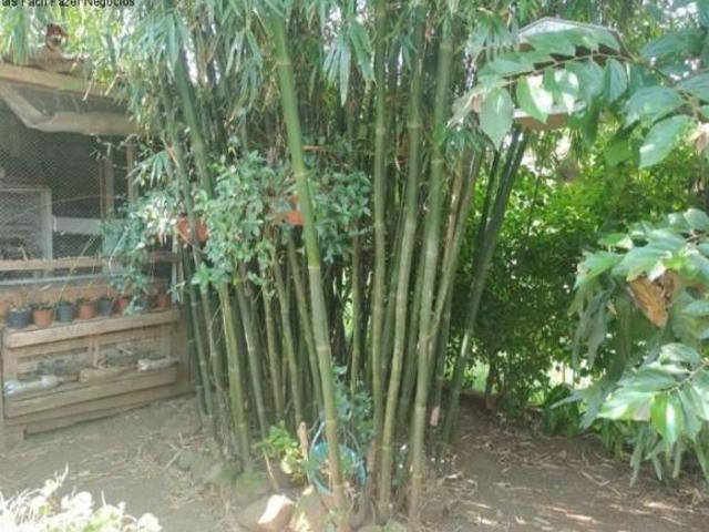 Casa venda em Região Geográfica Imediata de Caxias do Sul, Nova Petrópolis