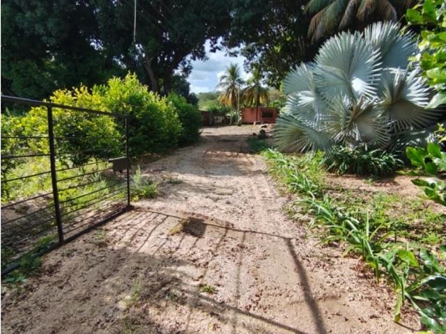 Finca en venta en Portuguesa