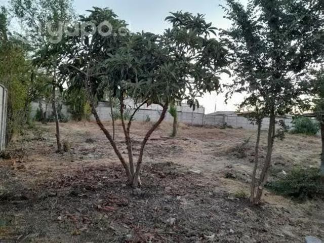 Oficina en venta en Parral, Maule
