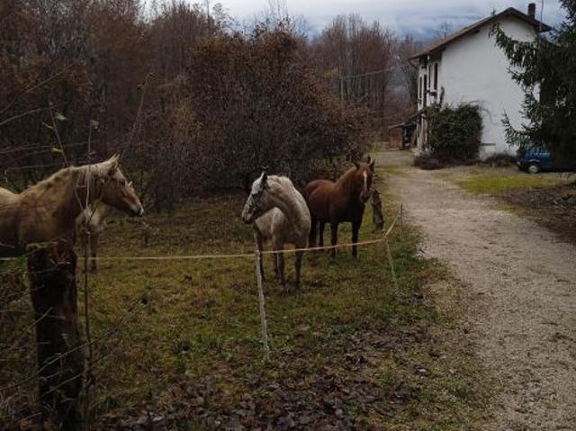 Terreno in vendita a Sedico, Veneto