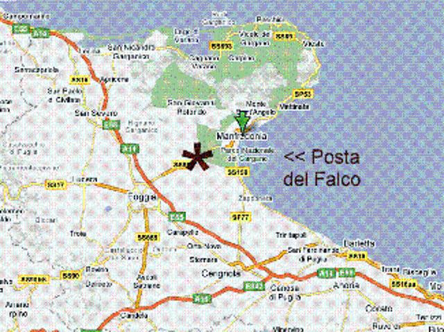 Appartamento in vendita a Puglia, Foggia