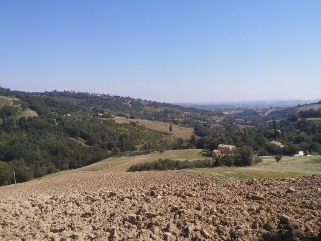 Rustico in vendita a Marche, Ancona