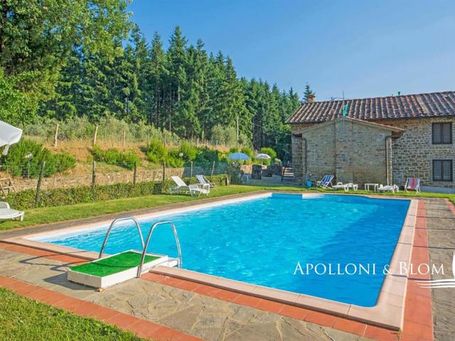 Casa in vendita a Unione di Comuni Valdarno e Valdisieve, Pelago