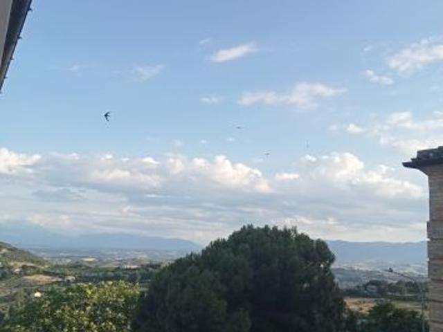 Appartamento in vendita a Atri, Abruzzo