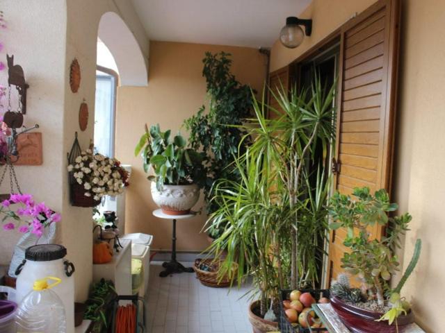 Villa Indipendente in vendita a Bibbona, Toscana