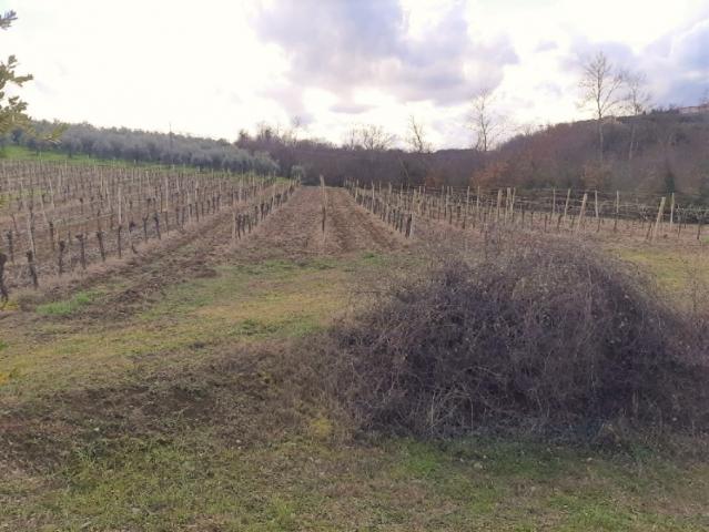 Villa Indipendente in vendita a Castel Viscardo, Umbria
