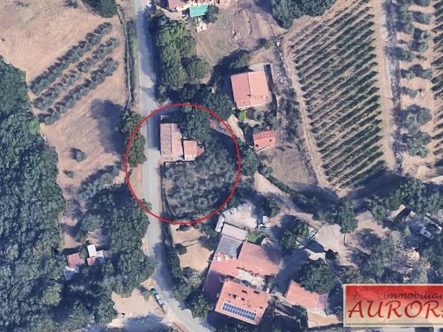 Villa Indipendente in vendita a Castellina In Chianti, Toscana