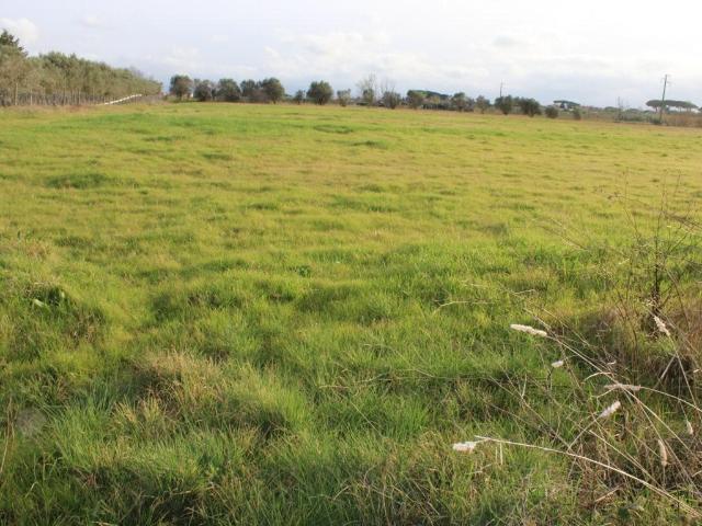 Villa Indipendente in vendita a Cecina, Toscana
