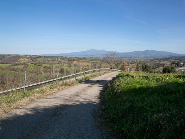 Villa Indipendente in vendita a Cinigiano, Toscana