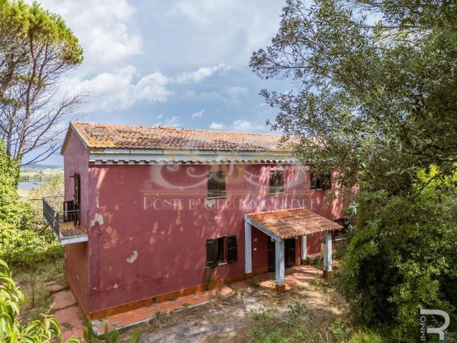 Villa Indipendente in vendita a Fauglia, Toscana