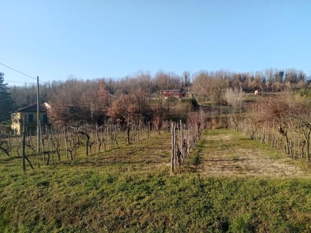 Villa Indipendente in vendita a Gragnola, Fivizzano