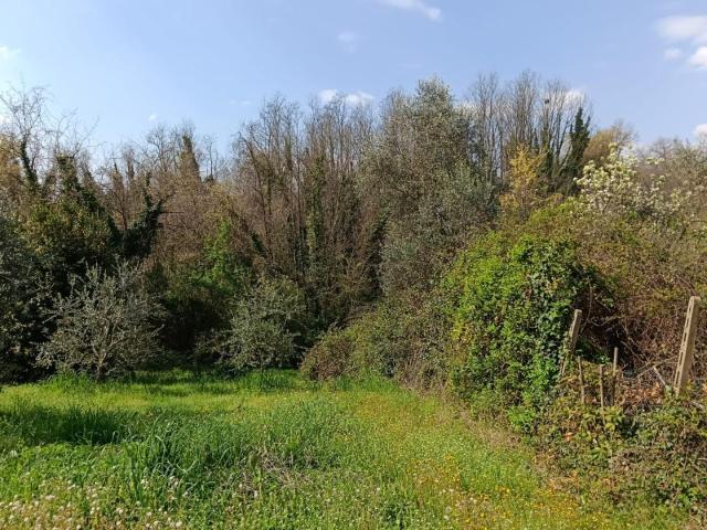 Villa Indipendente in vendita a Erta, Montelupo Fiorentino
