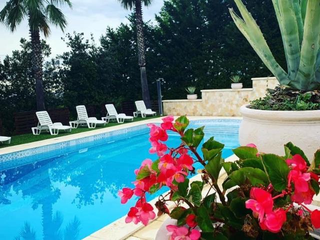 Villa Indipendente in vendita a Morro D'oro, Abruzzo