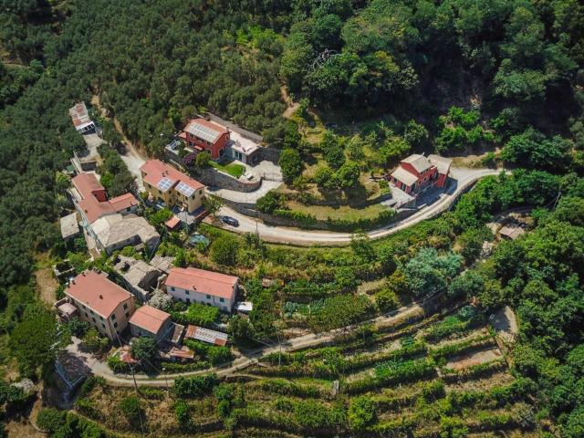 Villa Indipendente in vendita a Ne