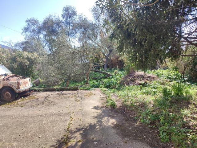 Villa Indipendente in vendita a Isola, Luni