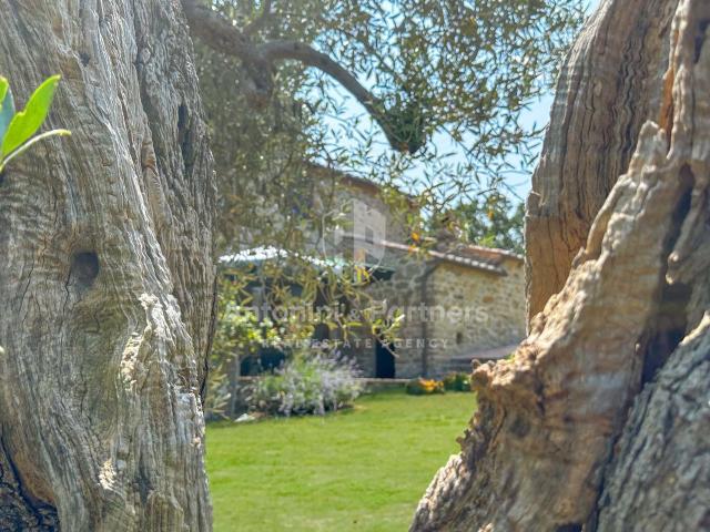 Villa Indipendente in vendita a Cerqueto, Passignano Sul Trasimeno