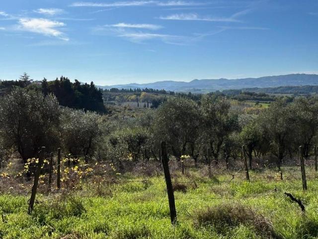 Villa Indipendente in vendita a Peccioli, Toscana