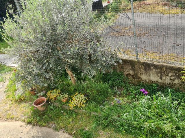 Villa Indipendente in vendita a Uzzano E Castello, Pistoia