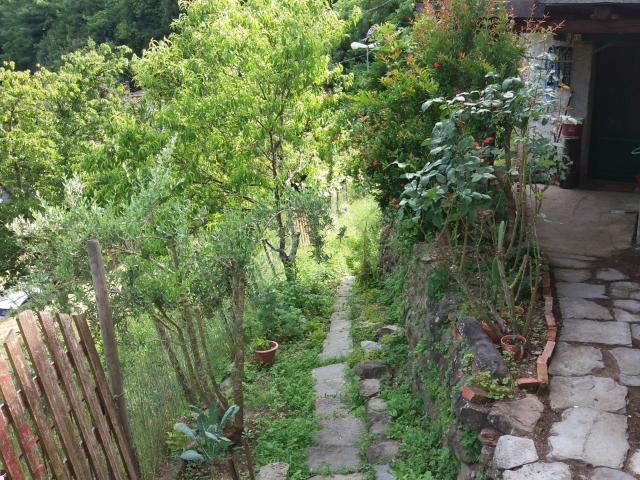 Villa Indipendente in vendita a Uzzano E Castello, Pistoia