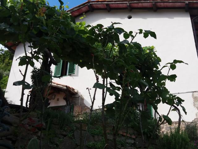 Villa Indipendente in vendita a Uzzano E Castello, Toscana