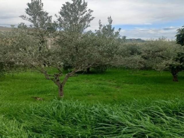 Villa Indipendente in vendita a Ragnola, Marche