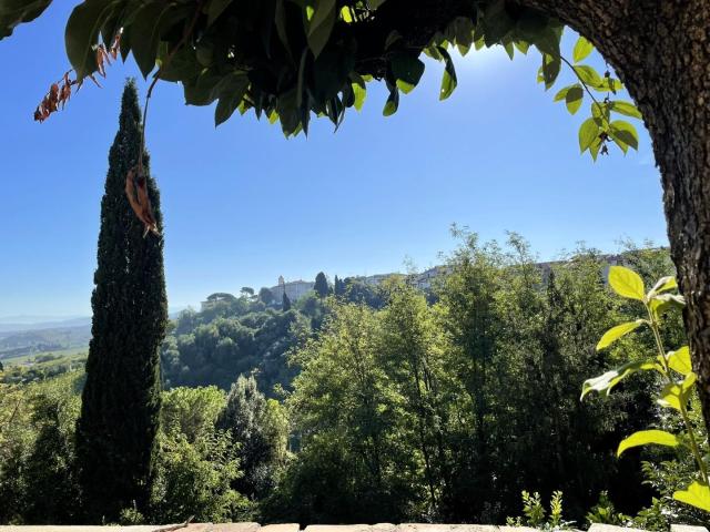 Villa Indipendente in vendita a La Scala, San Miniato