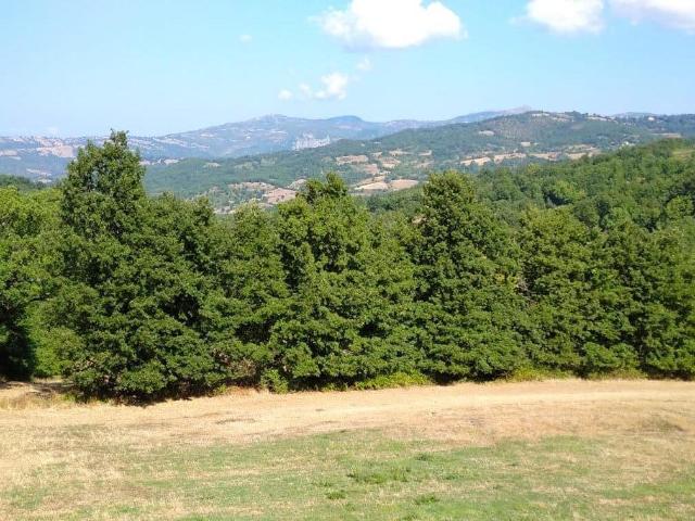 Villa Indipendente in vendita a Semproniano, Grosseto