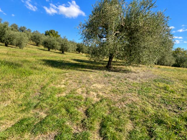 Villa Indipendente in vendita a Contrada della Civetta, Siena