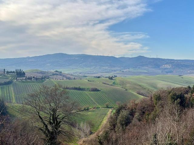 Villa Indipendente in vendita a Terricciola, Toscana
