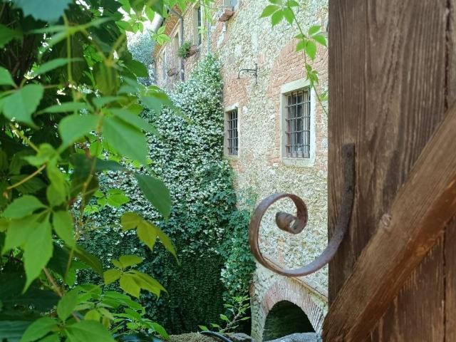 Villa Indipendente in vendita a Fauglia, Toscana