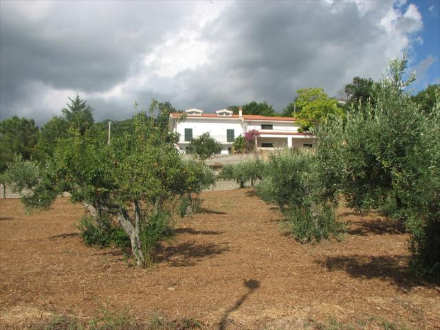 Villa Indipendente in vendita a Calabria, Cosenza