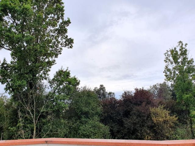Villa Indipendente in vendita a Poncarale, Lombardia