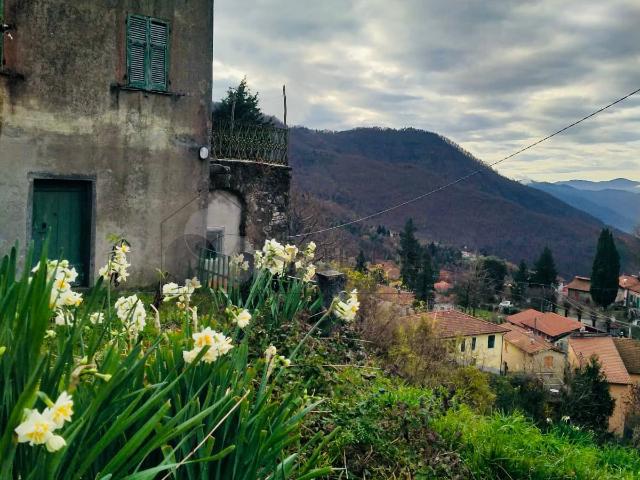 Villa Indipendente in vendita a Calice Al Cornoviglio, Liguria