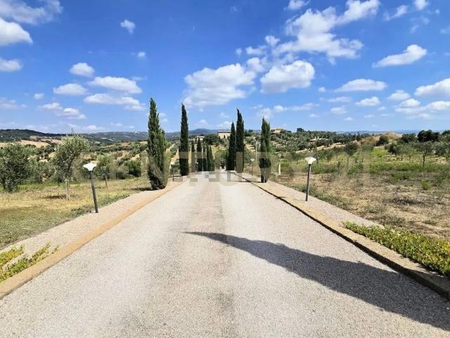 Villa Indipendente in vendita a Pomonte, Scansano